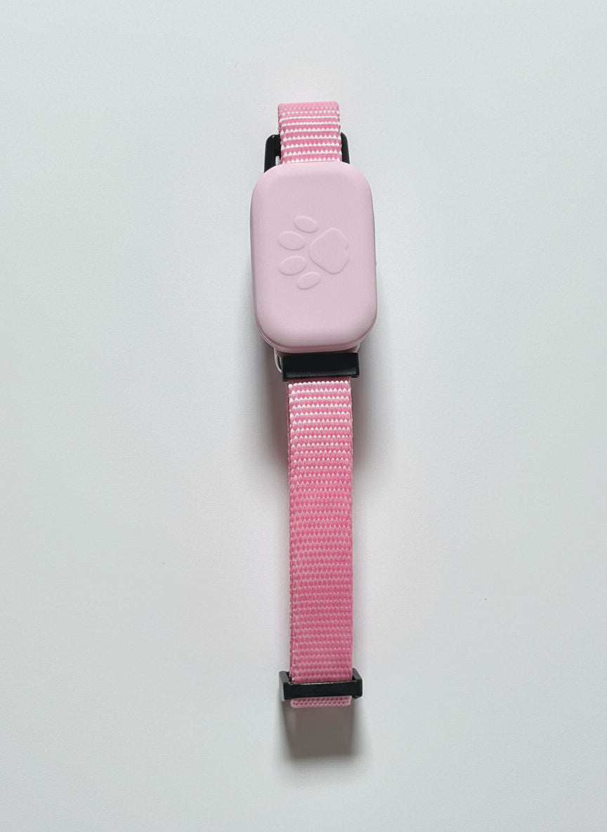 Pet positioning collar Find My global locator pet anti-lost smart reminder for iOS devices
